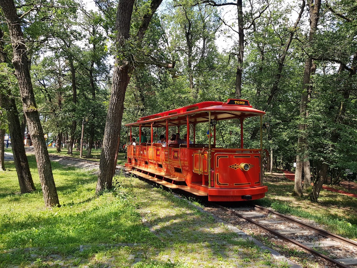 Corneşti Plateau - foto 5