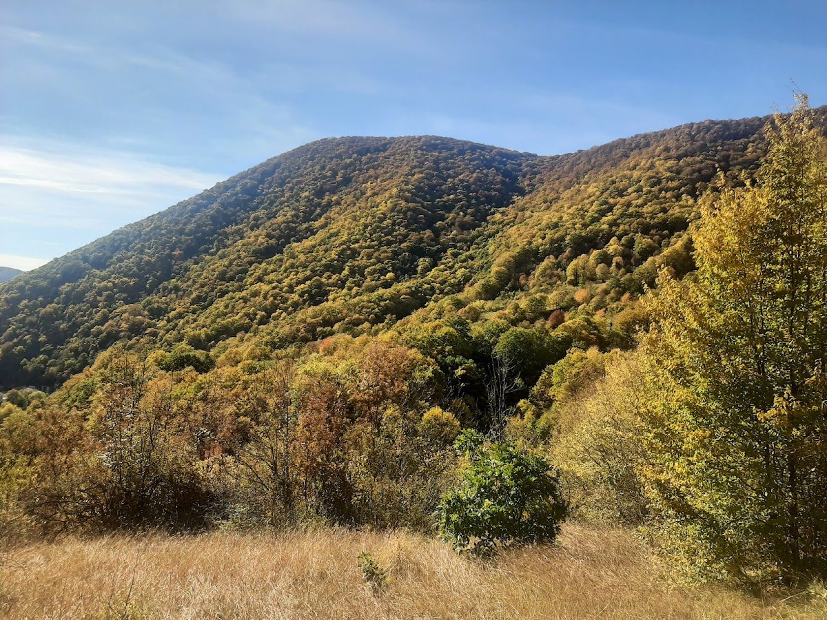 Platoul Coronini - foto 2