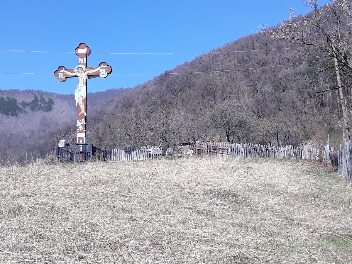 Platoul Coronini - foto 3