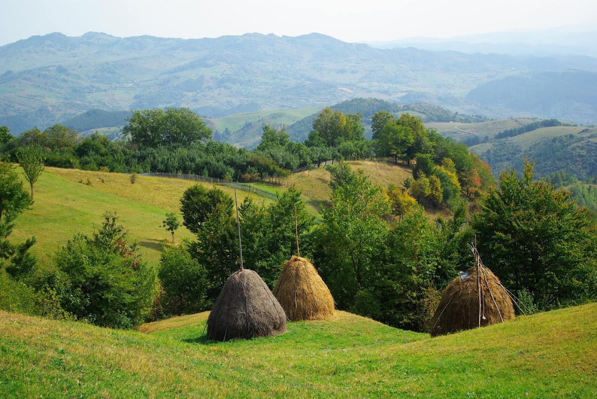 Plateau de Meledic