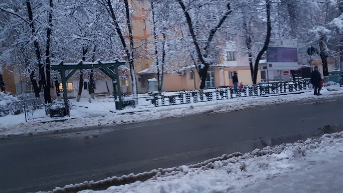 Plevna Cafe - foto 4