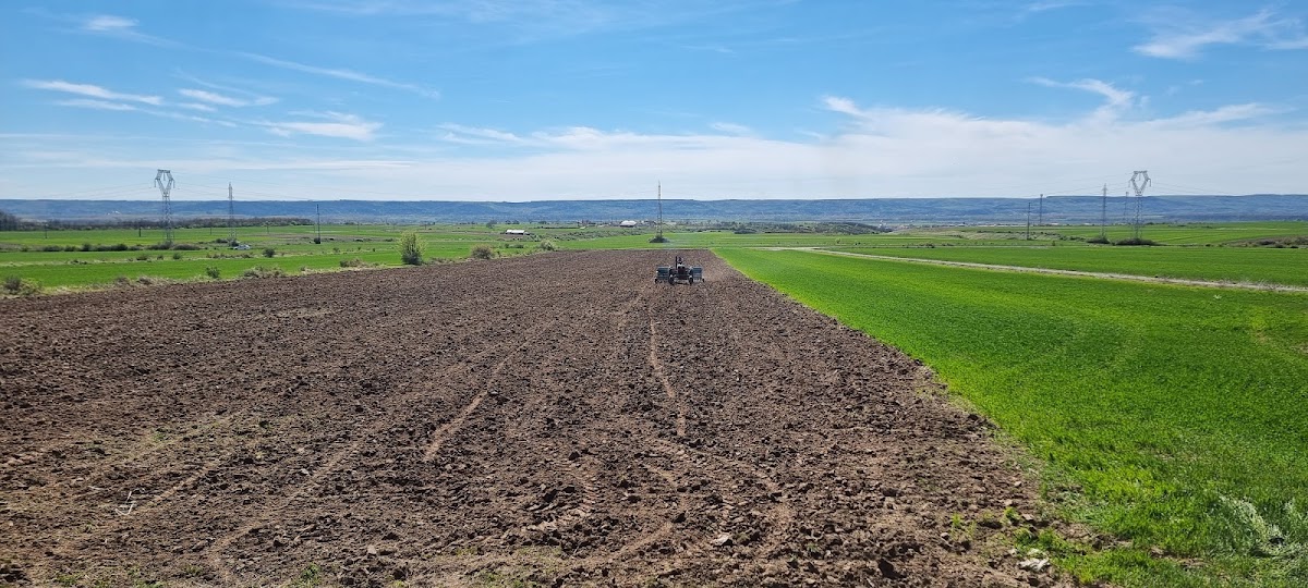 Podgoria Grejdani - foto 5