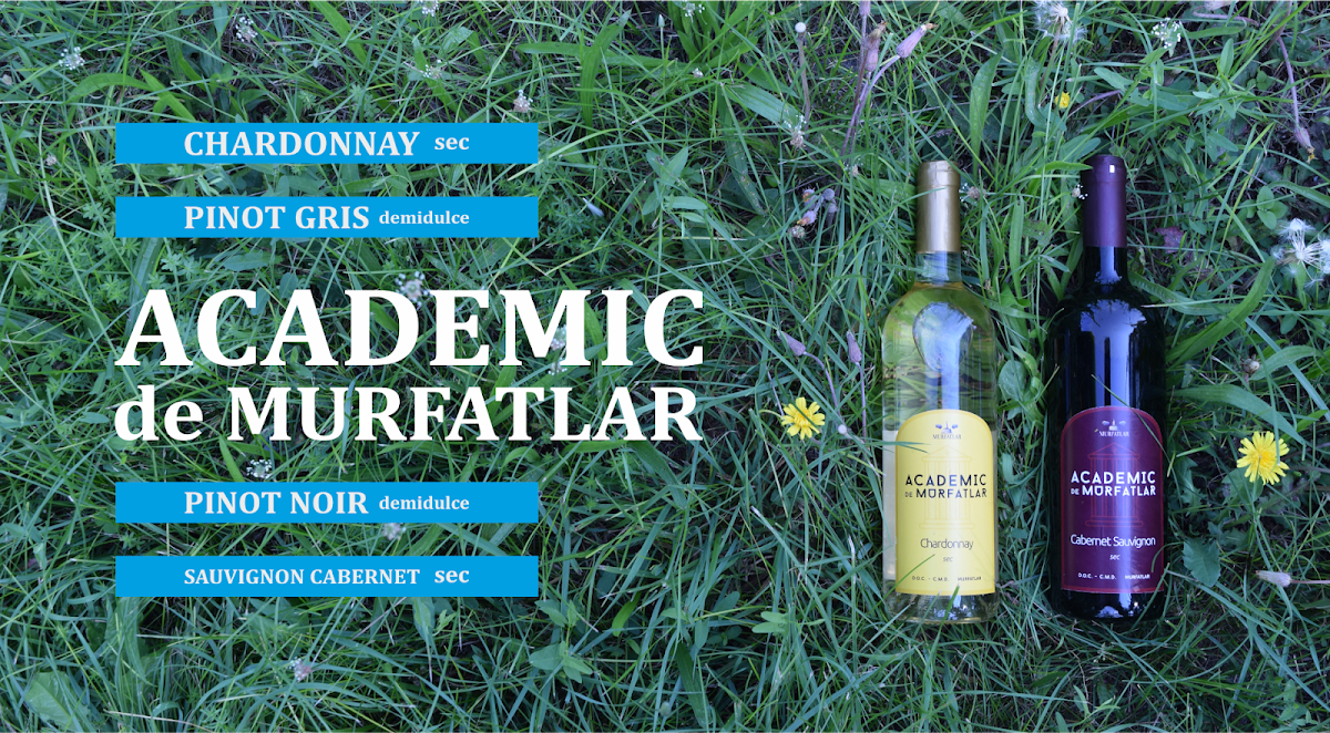 Podgoria Murfatlar - Crama Statiunea Murfatlar - foto 1