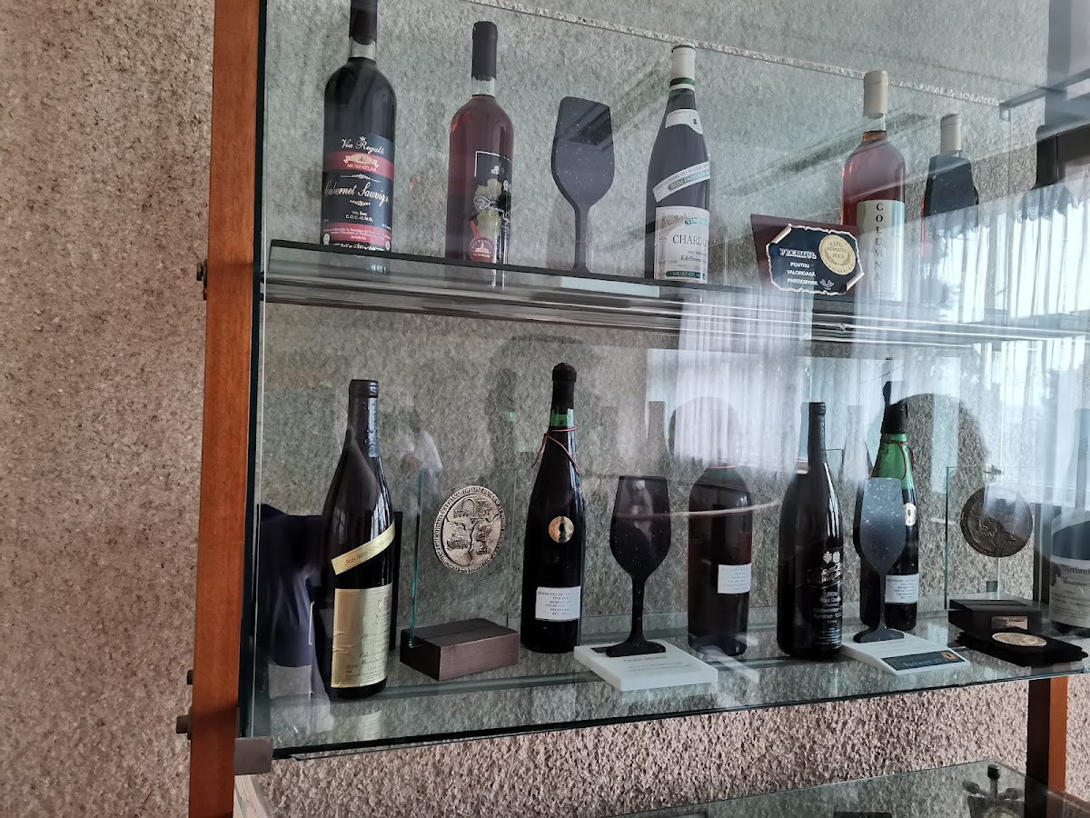 Podgoria Murfatlar - Crama Statiunea Murfatlar - foto 2