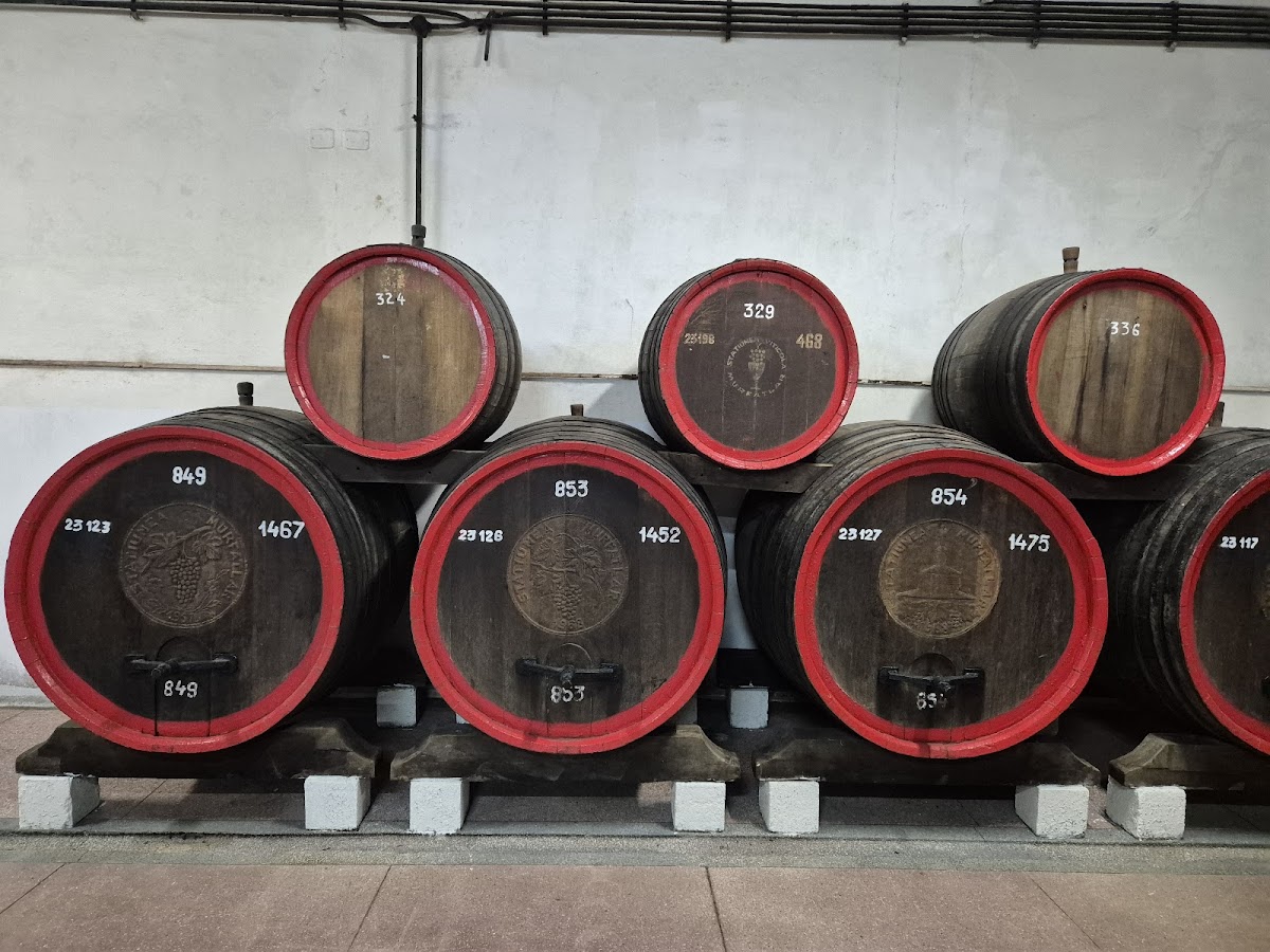 Podgoria Murfatlar - Crama Statiunea Murfatlar - foto 3