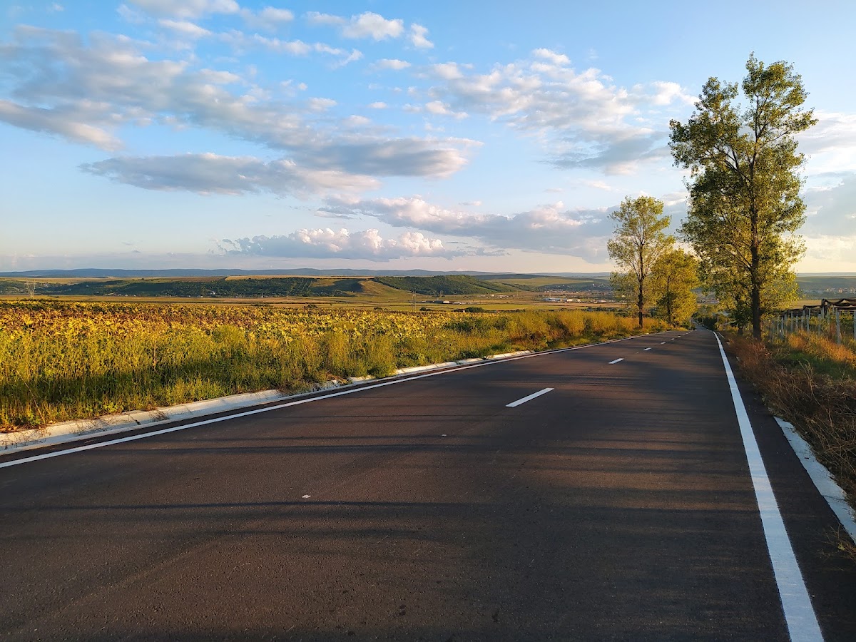 Podu Iloaiei - foto 2