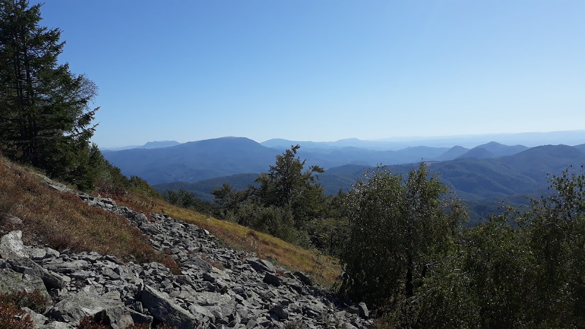 Poiana Boros - foto 1