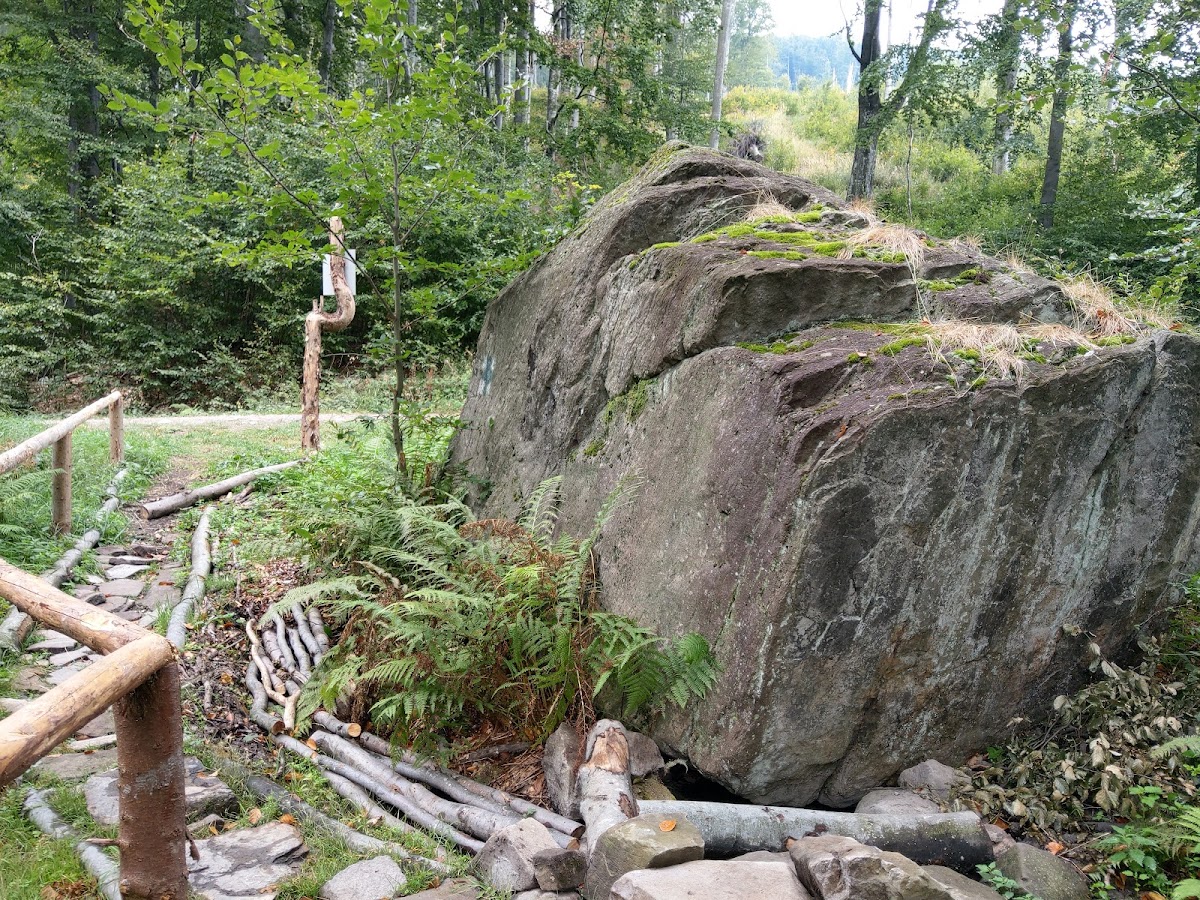 Poiana Boros - foto 2