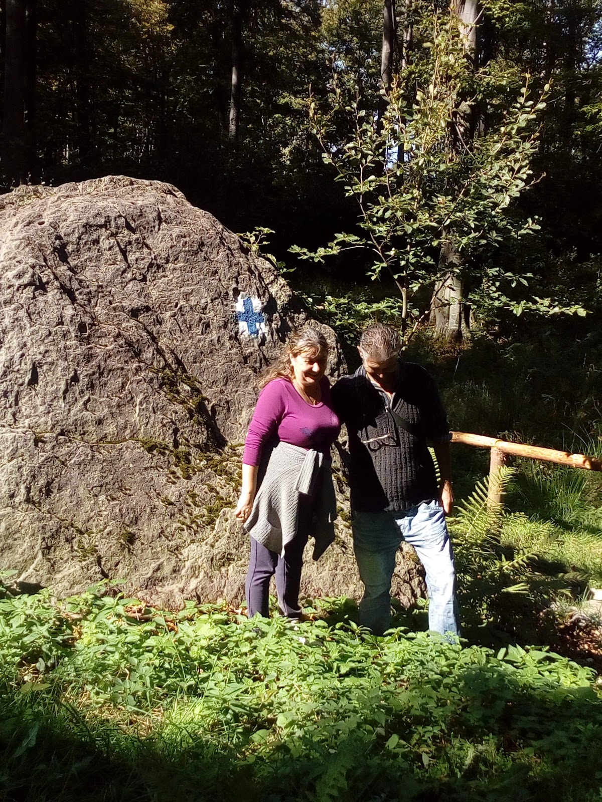 Poiana Boros - foto 4