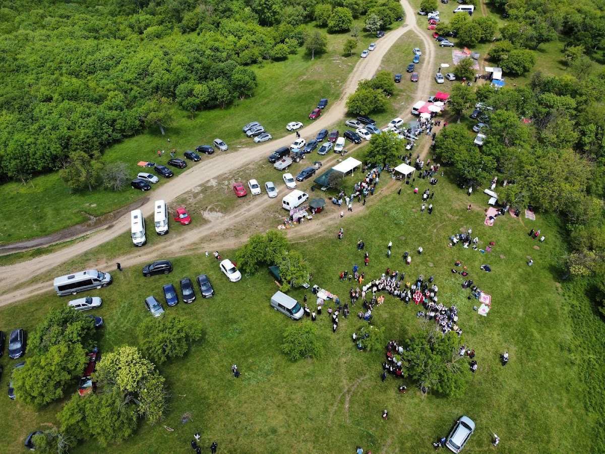 Poiana cu Bujori - foto 5