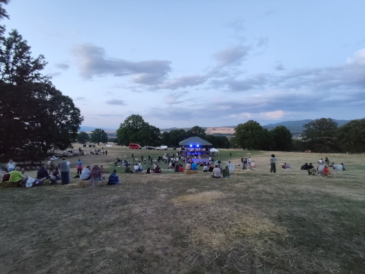 Poiana cu Goruni - foto 2