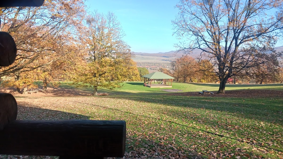 Poiana cu Goruni - foto 4