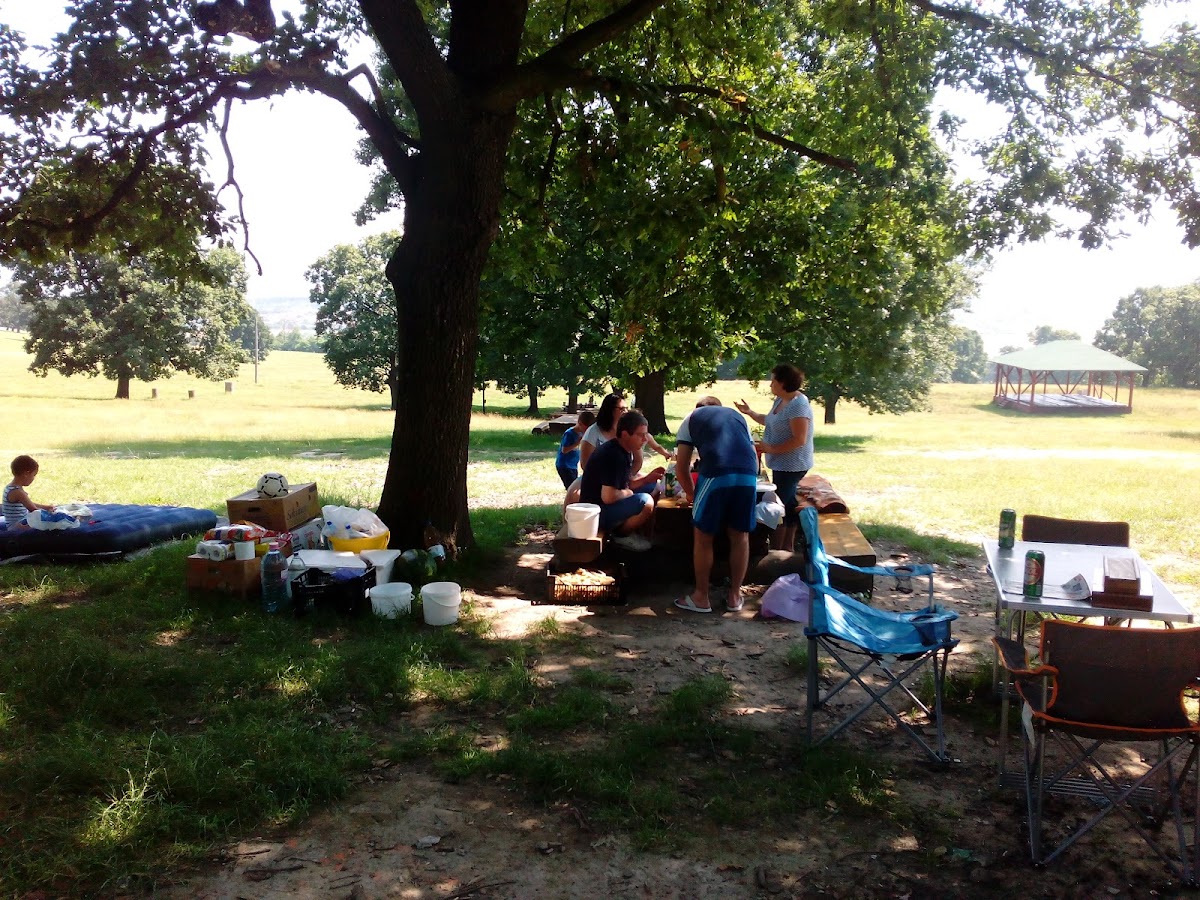 Poiana cu Goruni - foto 5