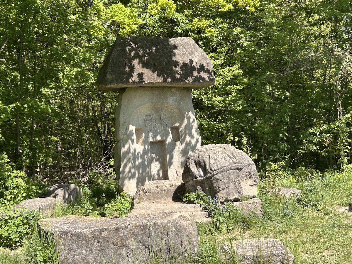 Poiana cu schit - foto 4