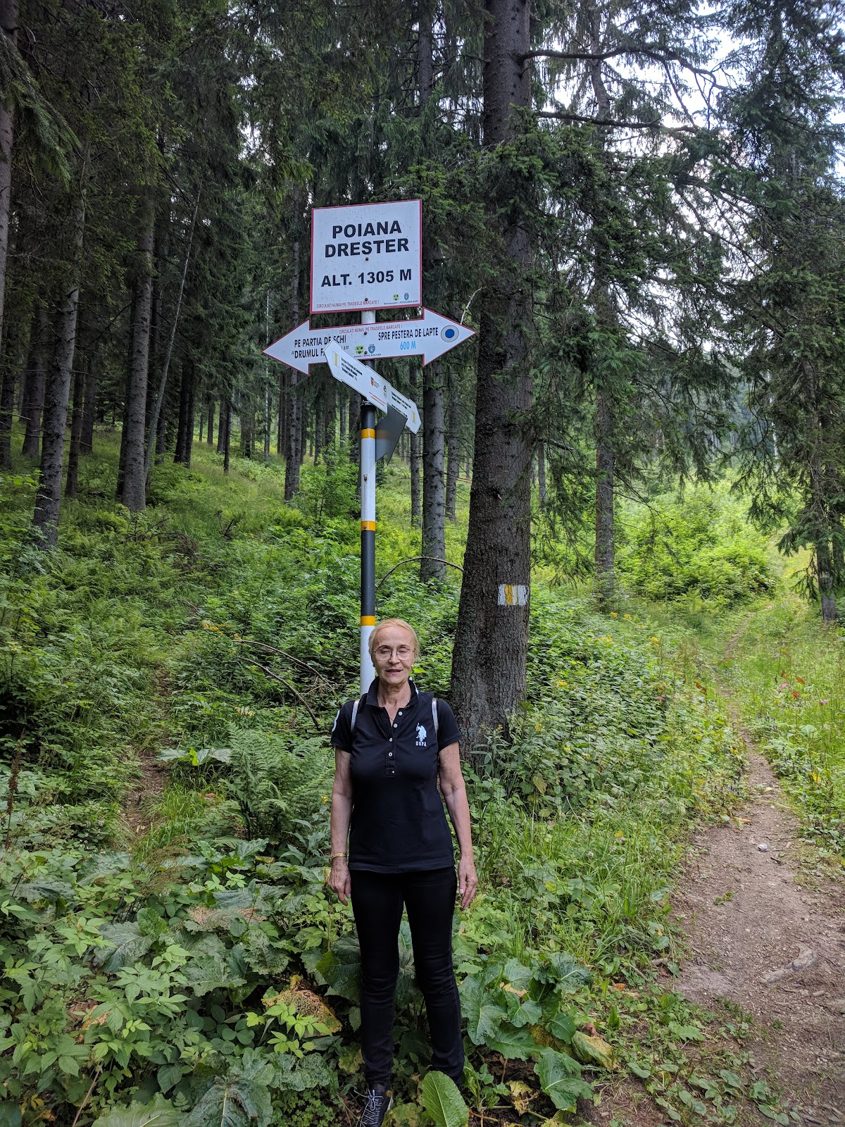 Poiana Drester - foto 1