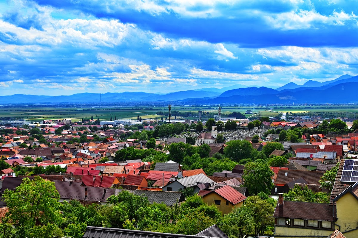 Poiana Mărul Dulce - foto 2