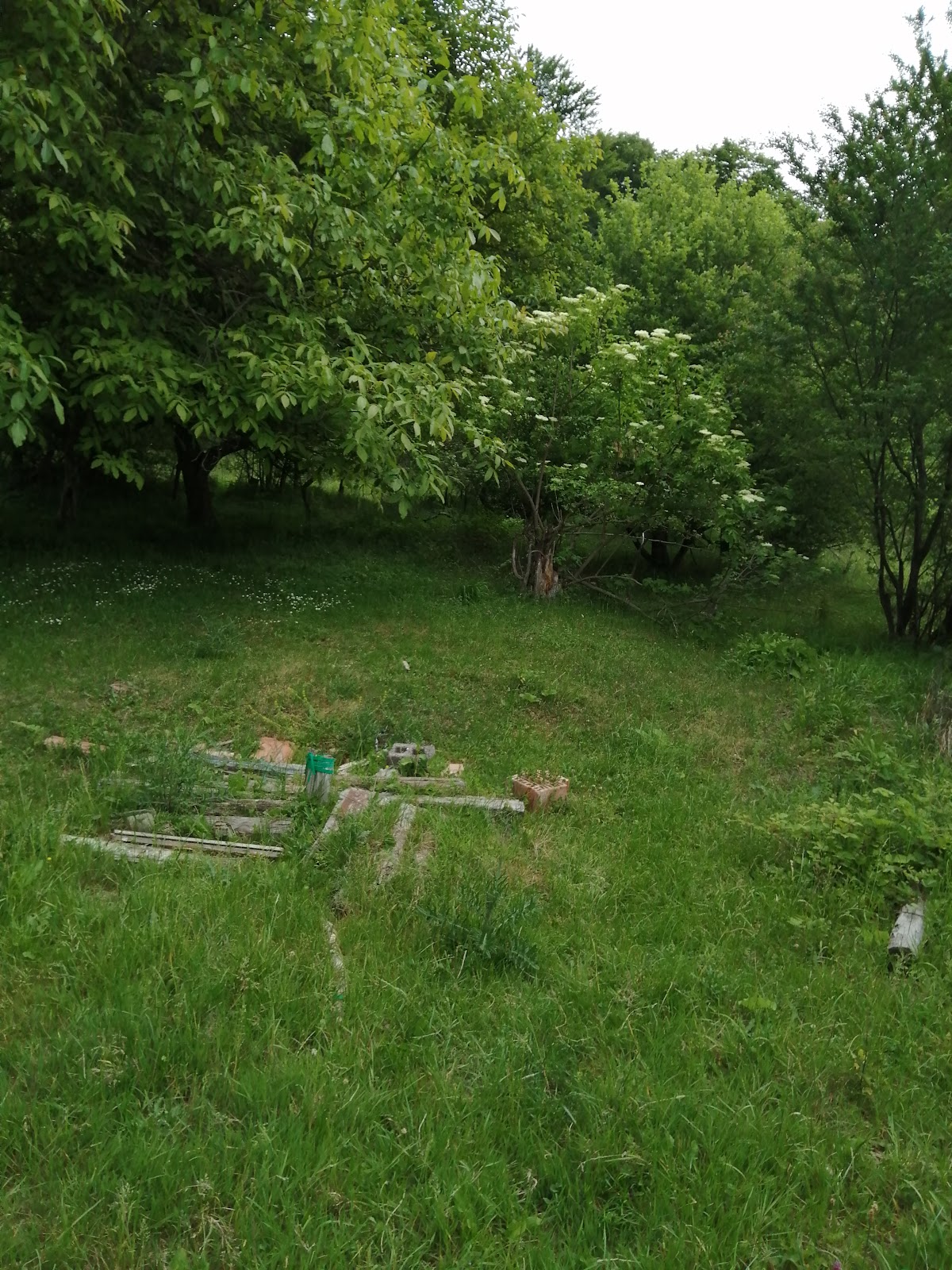 Poiana Mărul Dulce - foto 5