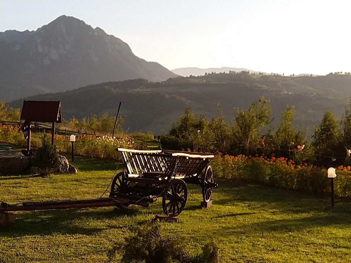 Poiana Mărului Ranch - foto 5