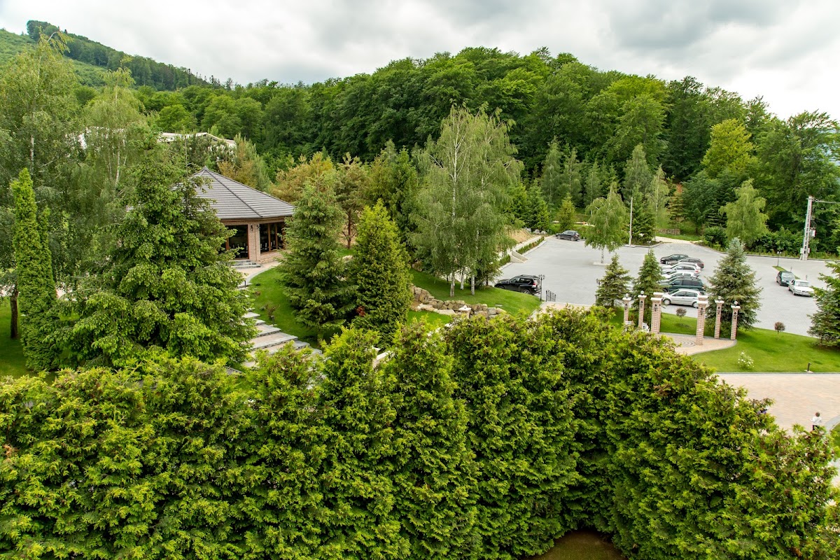 Poiana Putna - foto 4