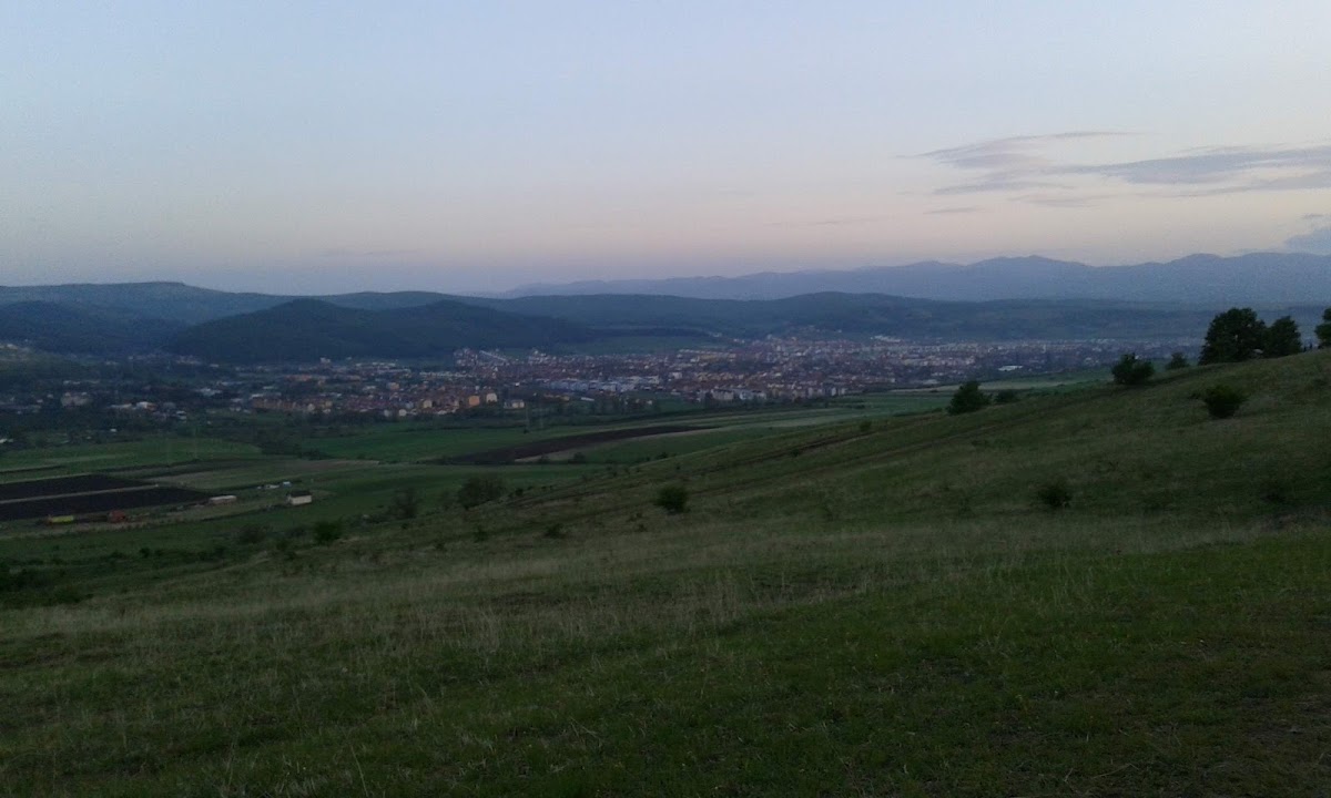 Poiana Rotundă - foto 4