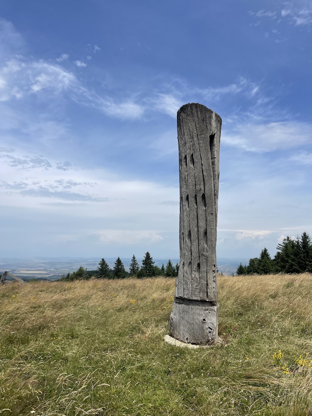 Poiana Soarelui - foto 1