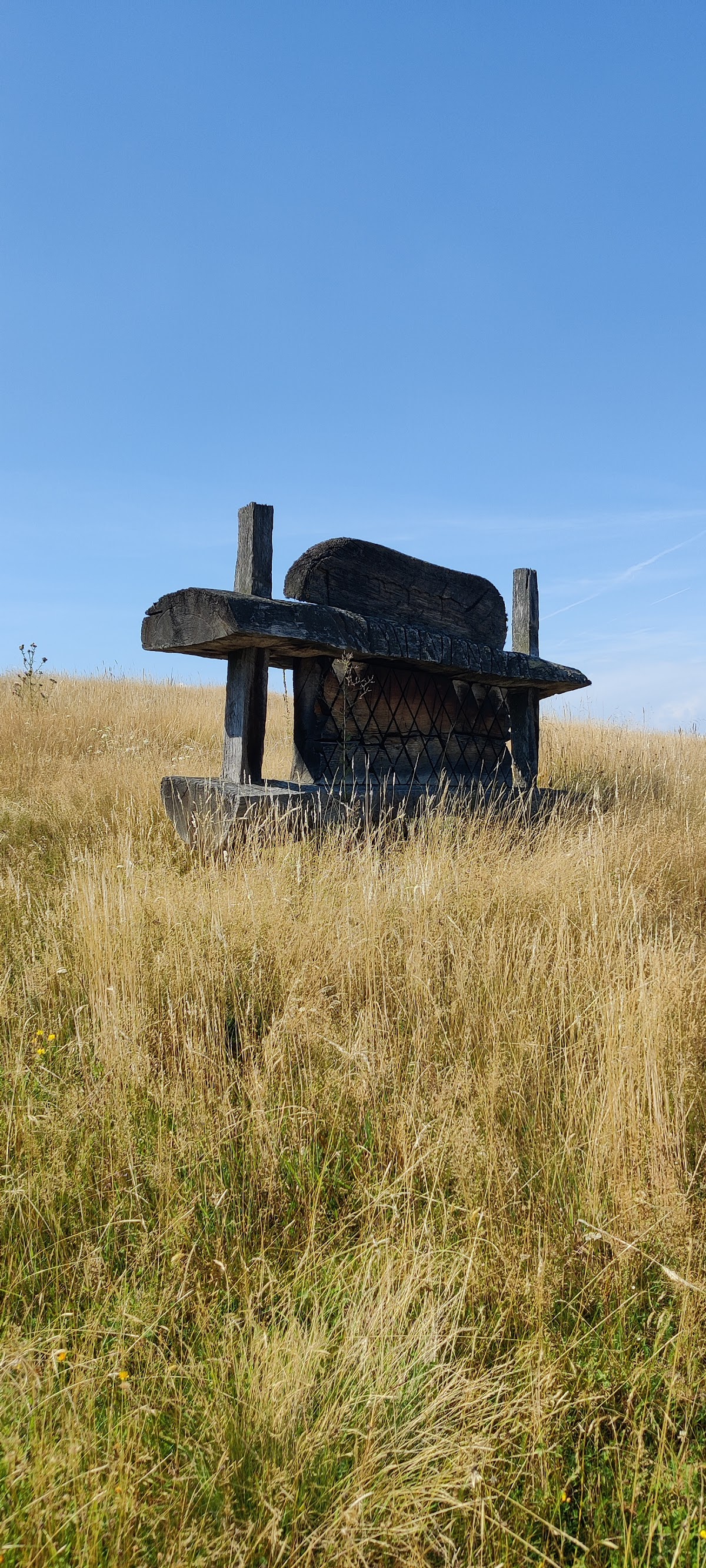 Poiana Soarelui - foto 3