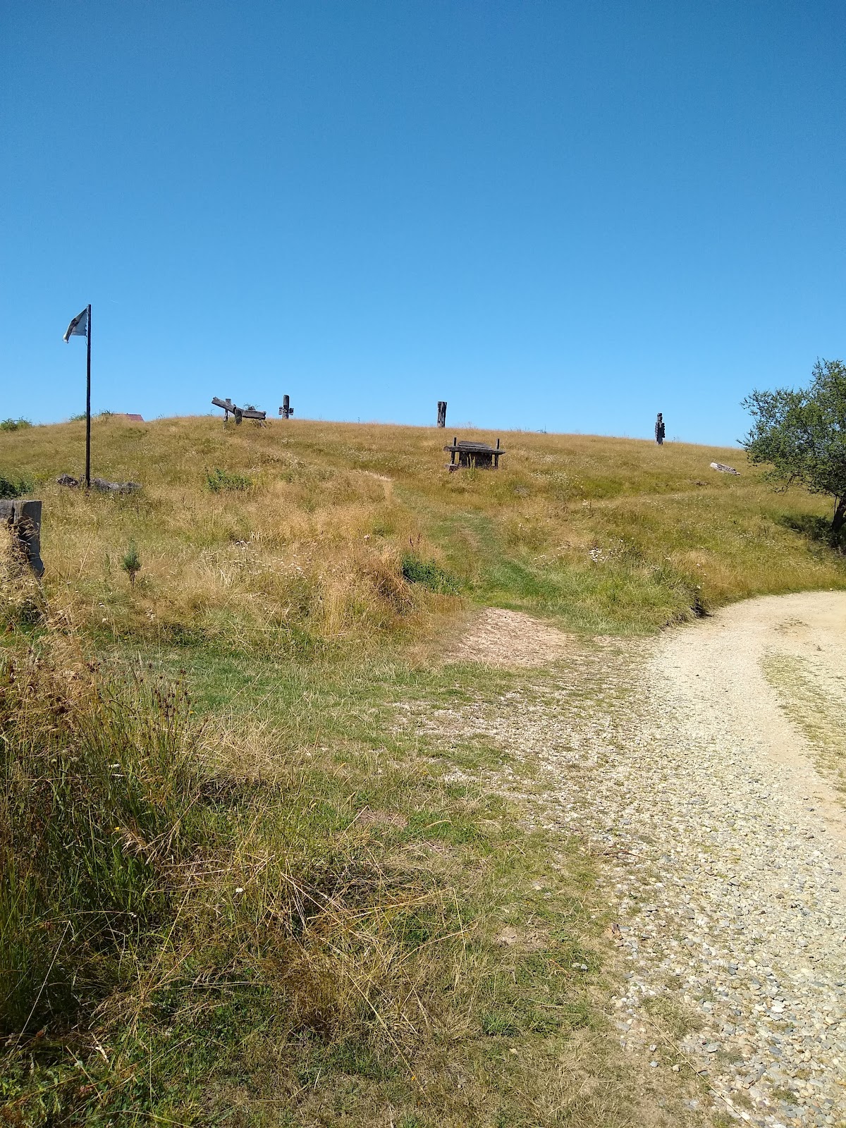 Poiana Soarelui - foto 4