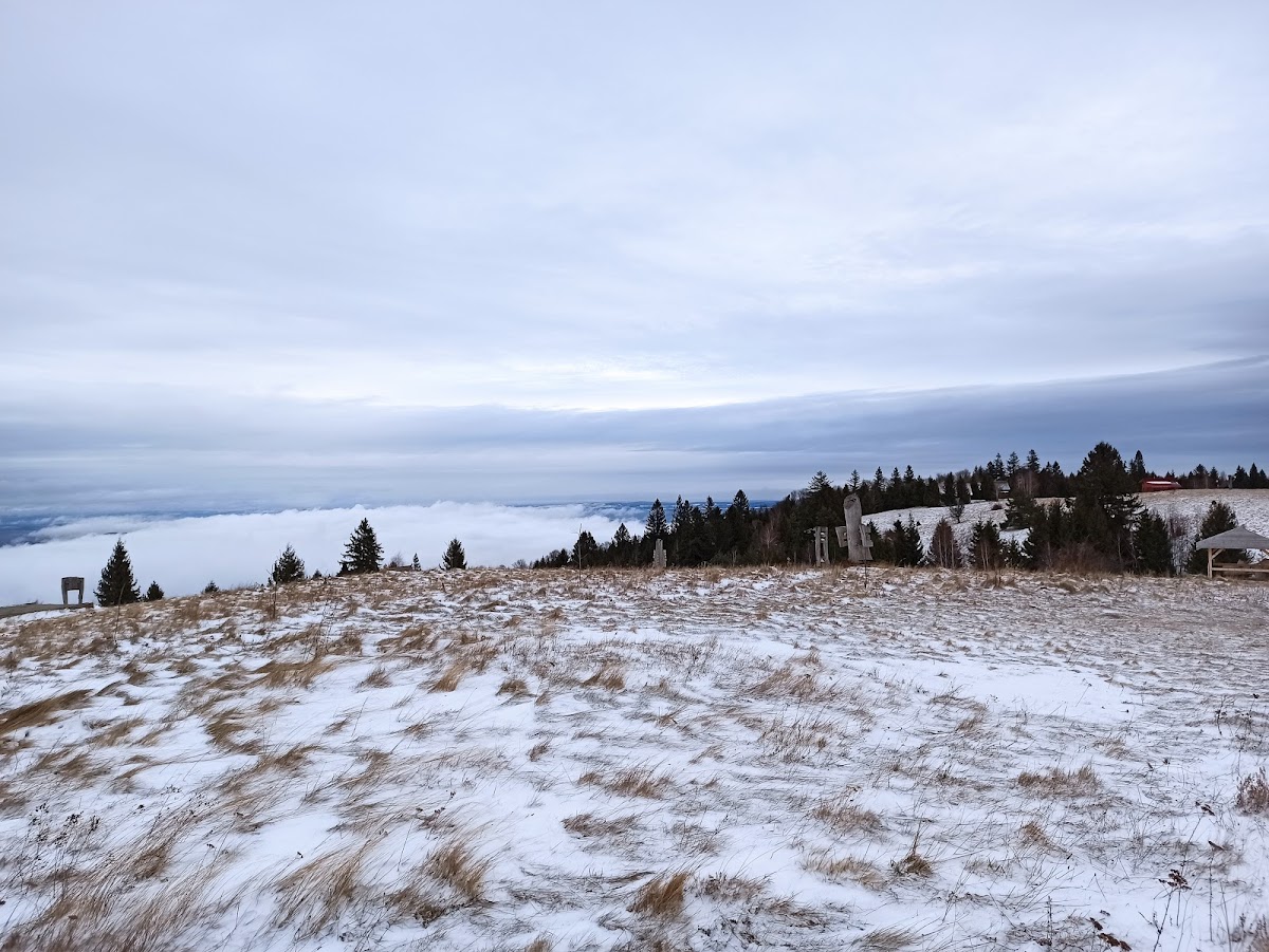 Poiana Soarelui - foto 5