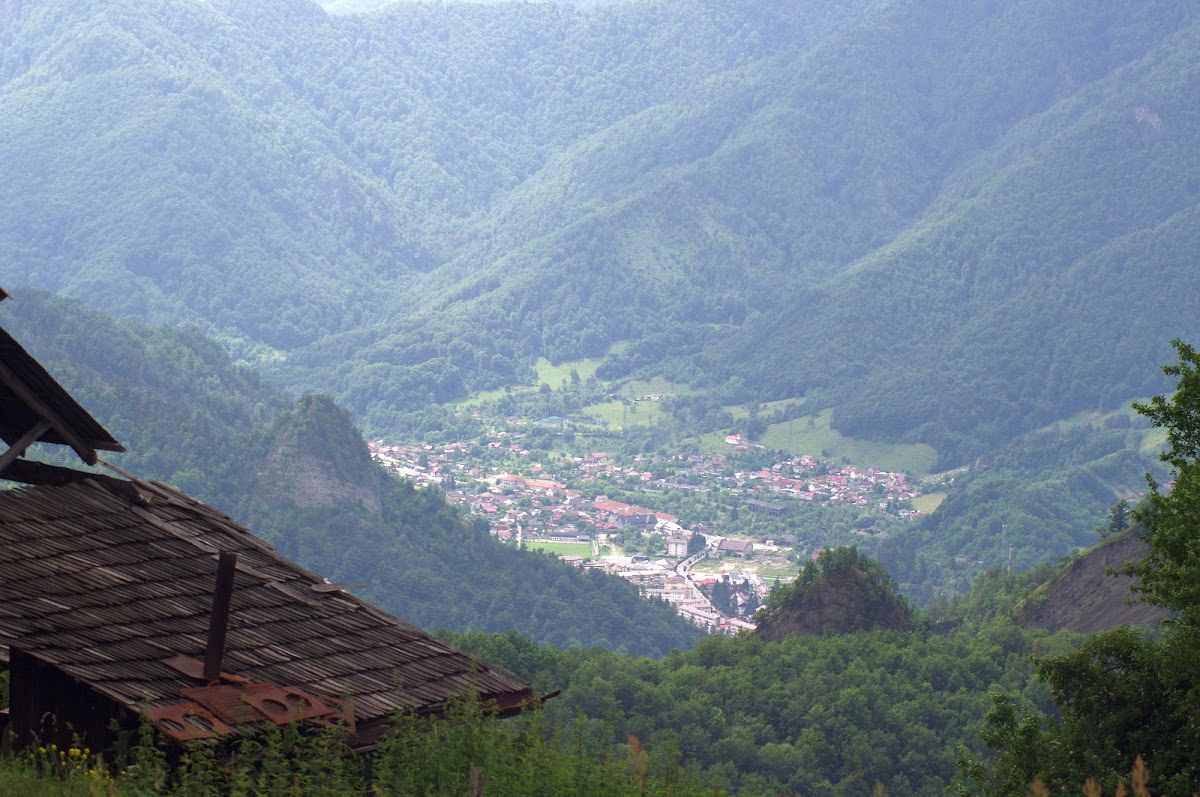 Poiana Suliței, Brezoi