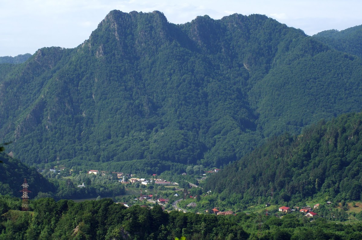 Poiana Suliței - foto 3
