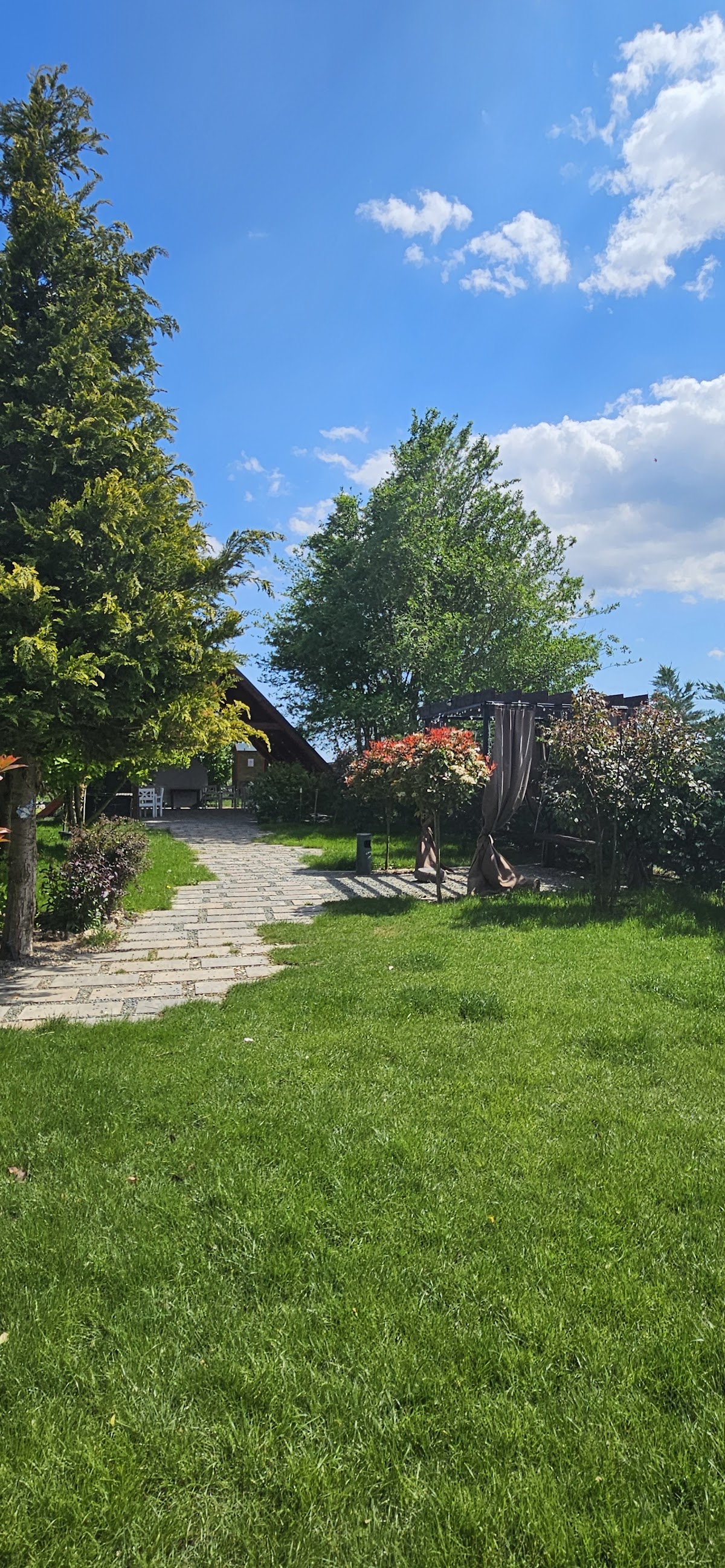 Poiana Veseliei - foto 3