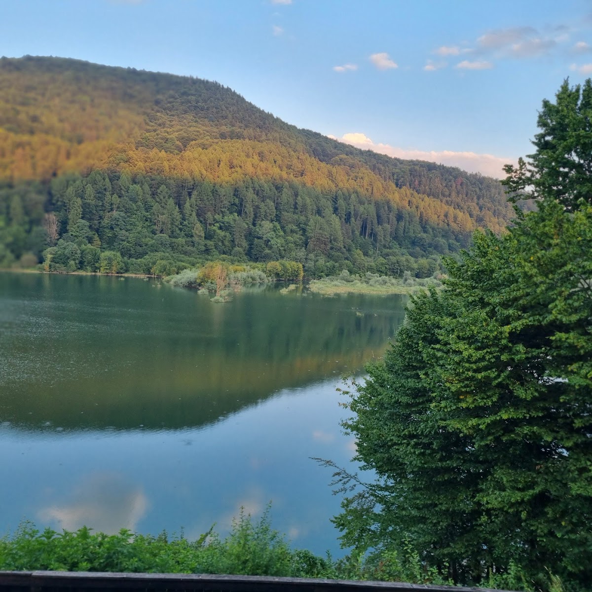 Popas Brădet - La Ionescu - foto 4