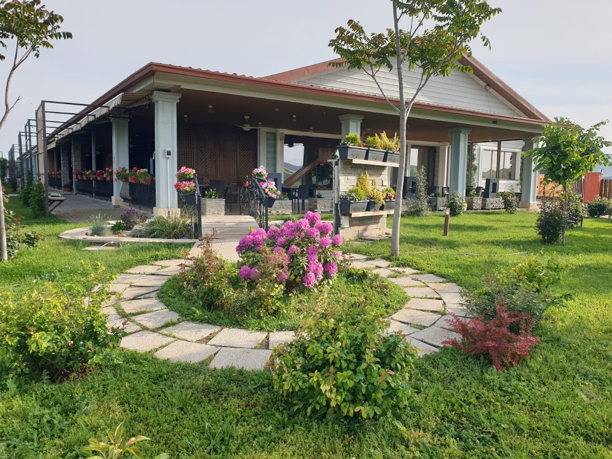 Popas Laura - Greci - foto 5