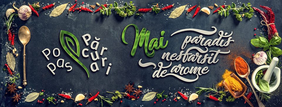 Popas Păcurari - foto 2