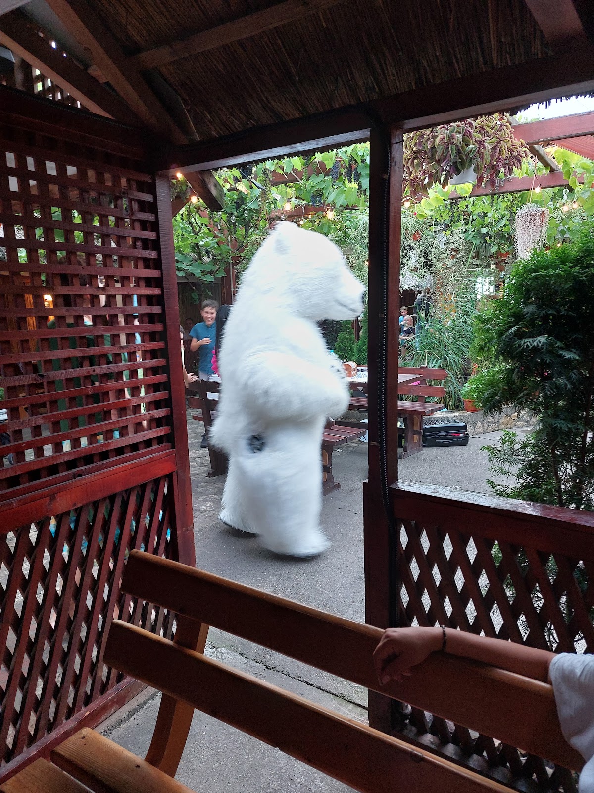 Popas Rustic Săveni - foto 1