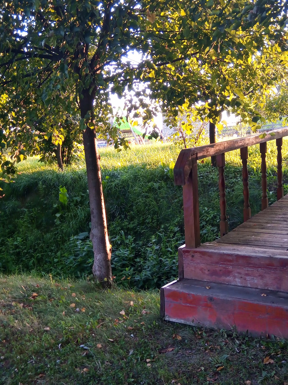 Popas Todiresti