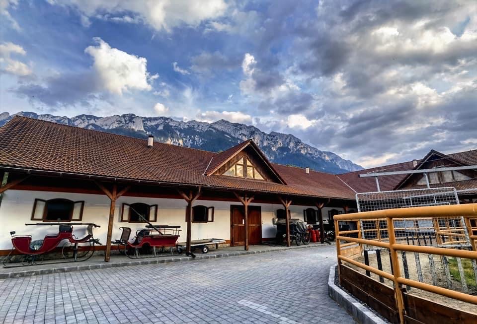 Popasul Craiului - foto 4