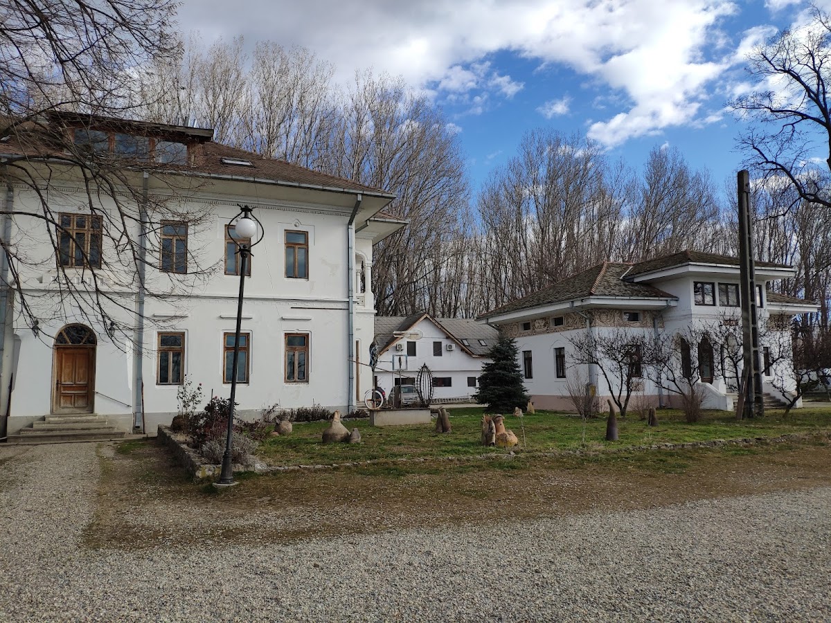 Portul Cultural al com. Cetate - foto 2