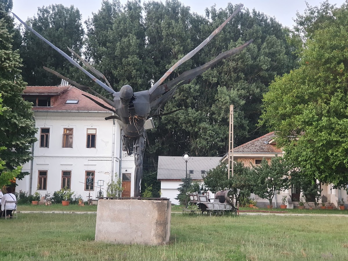 Portul Cultural al com. Cetate - foto 3