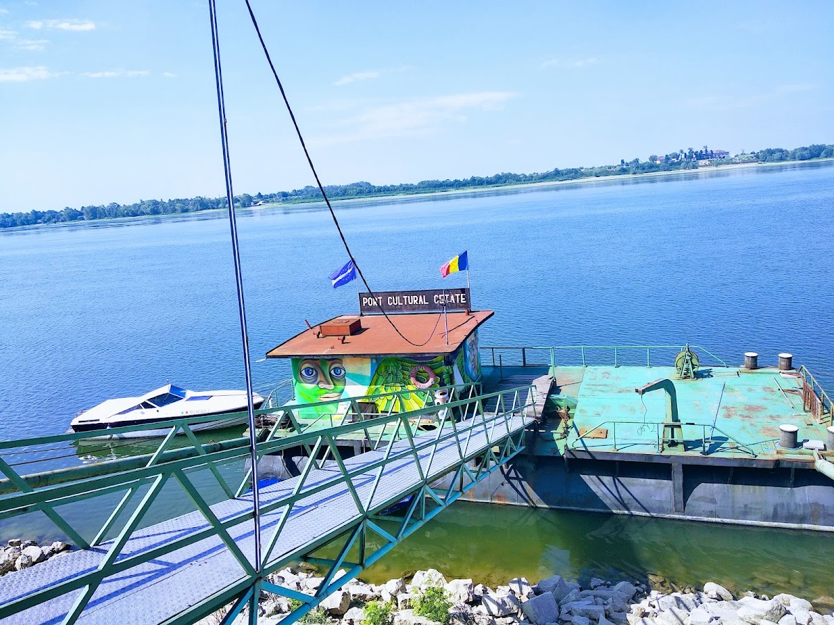 Portul Cultural al com. Cetate - foto 4