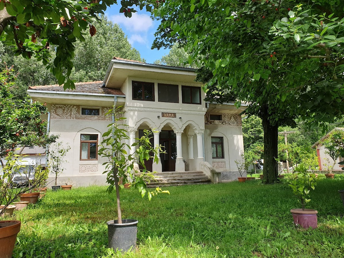 Portul Cultural al com. Cetate - foto 5