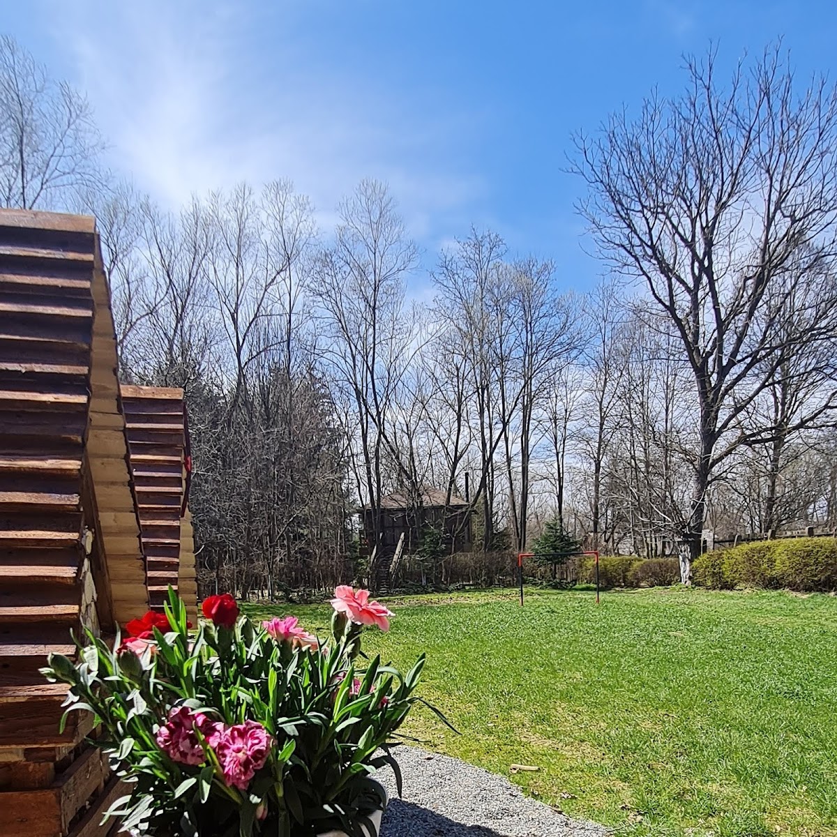 Porumbacu 295 Guesthouse - foto 1