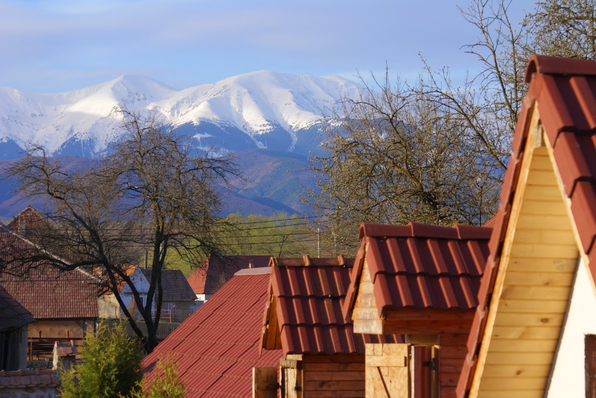 Porumbacu 295 Guesthouse - foto 5