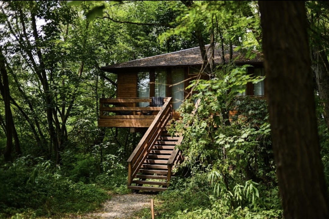 Porumbacu treehouse - foto 1