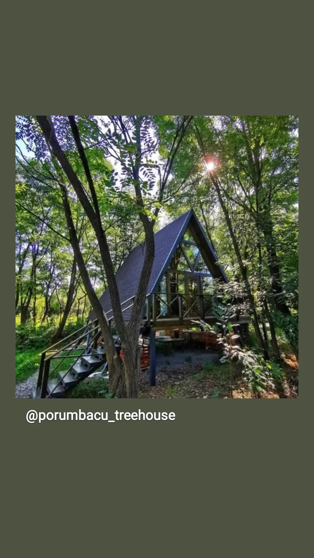 Porumbacu treehouse - foto 5