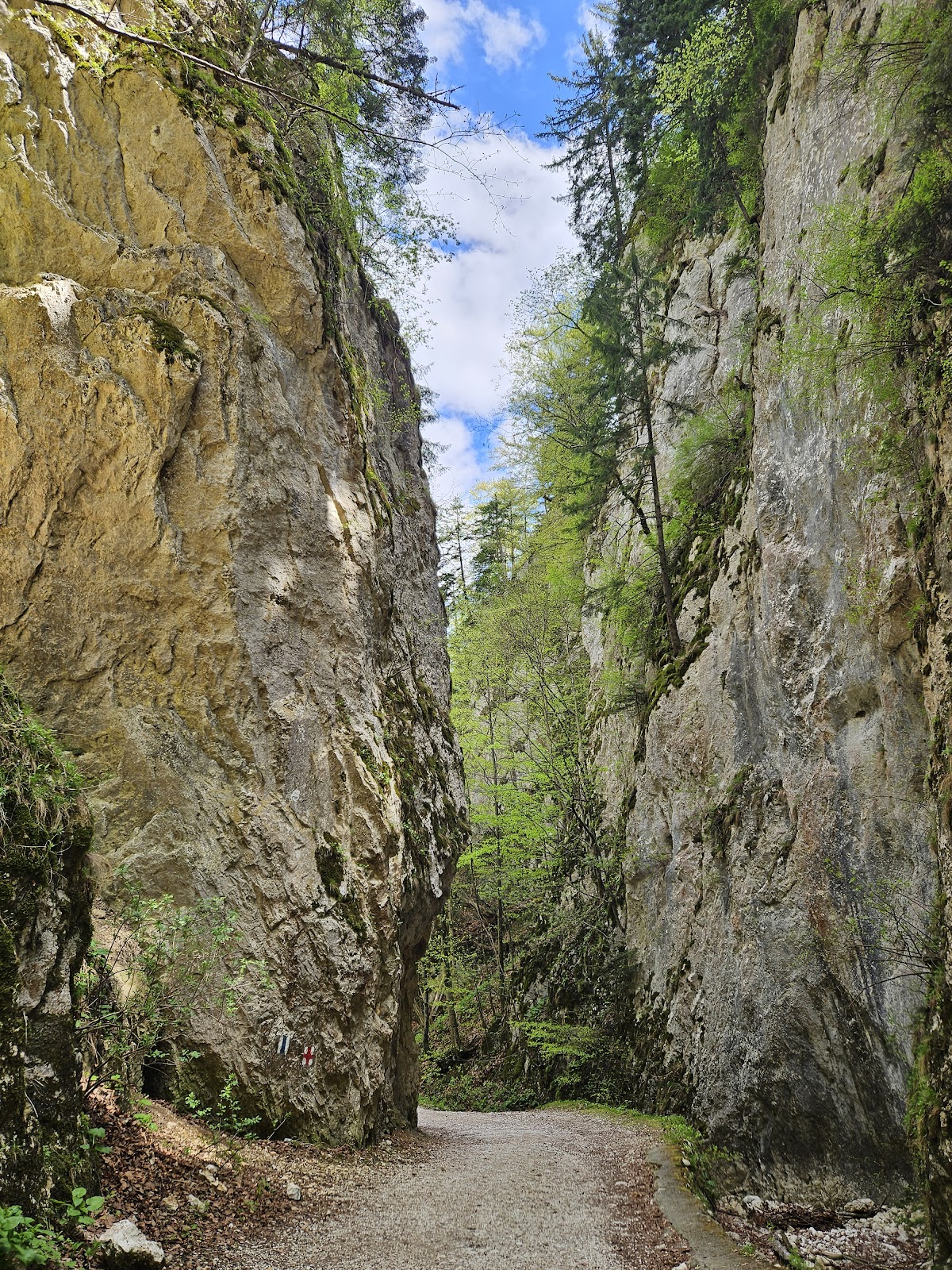 Prăpăstiile Zărneștiului - foto 1