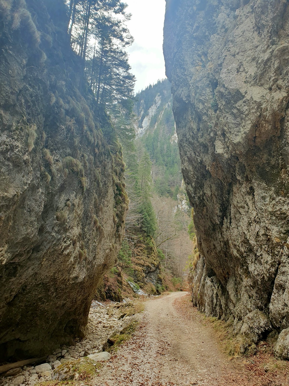 Prăpăstiile Zărneștiului - foto 2