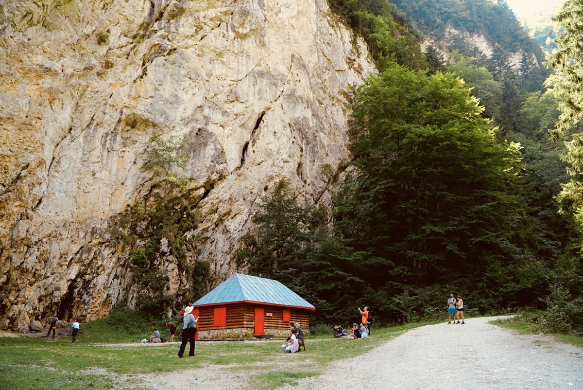 Prăpăstiile Zărneștiului - foto 3