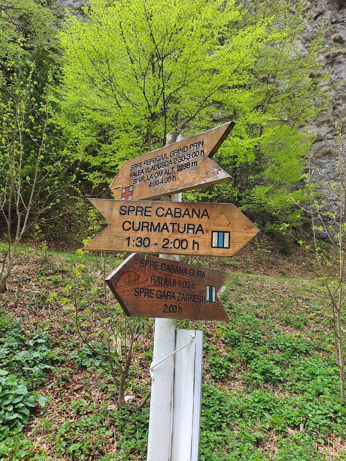 Prăpăstiile Zărneștiului - foto 4