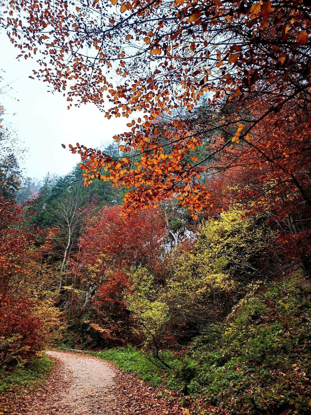 Prăpăstiile Zărneștiului - foto 5